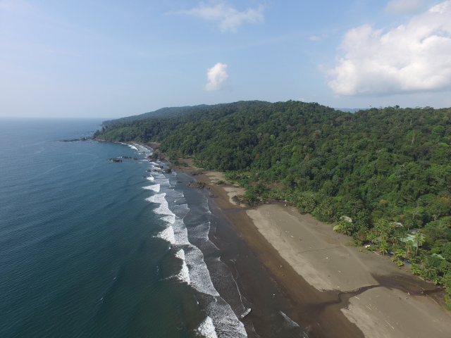 Where the Jungle Meets the Sea, Discover Bahía Solano
