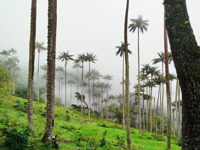 Adventure in nature