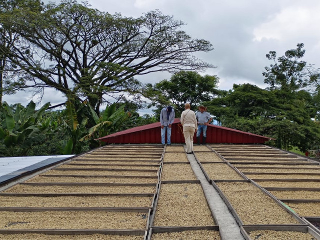 Aventura Cafetera
