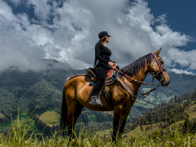 Horseback Trails