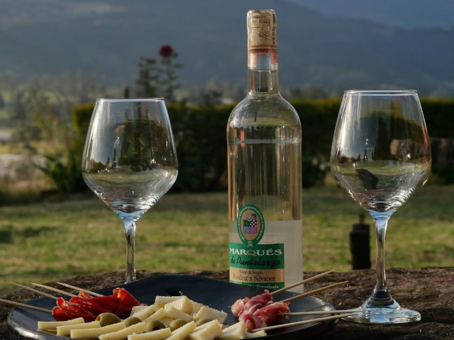 Colombia Between Wines and Mountains