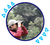 Person observing birds with binoculars in a natural environment